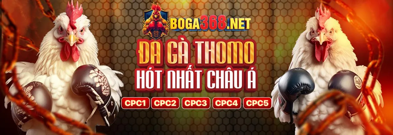 Nền tảng cá cược fb68 uy tín