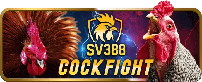 Hoàn trả thể thao hàng ngày fb68